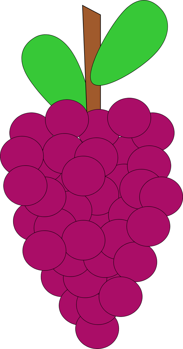 grape vine - vector Clip Art