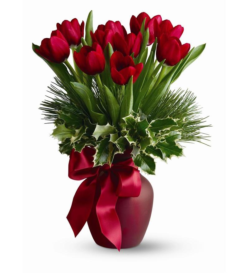 Christmas Tulips | Flower Shopping