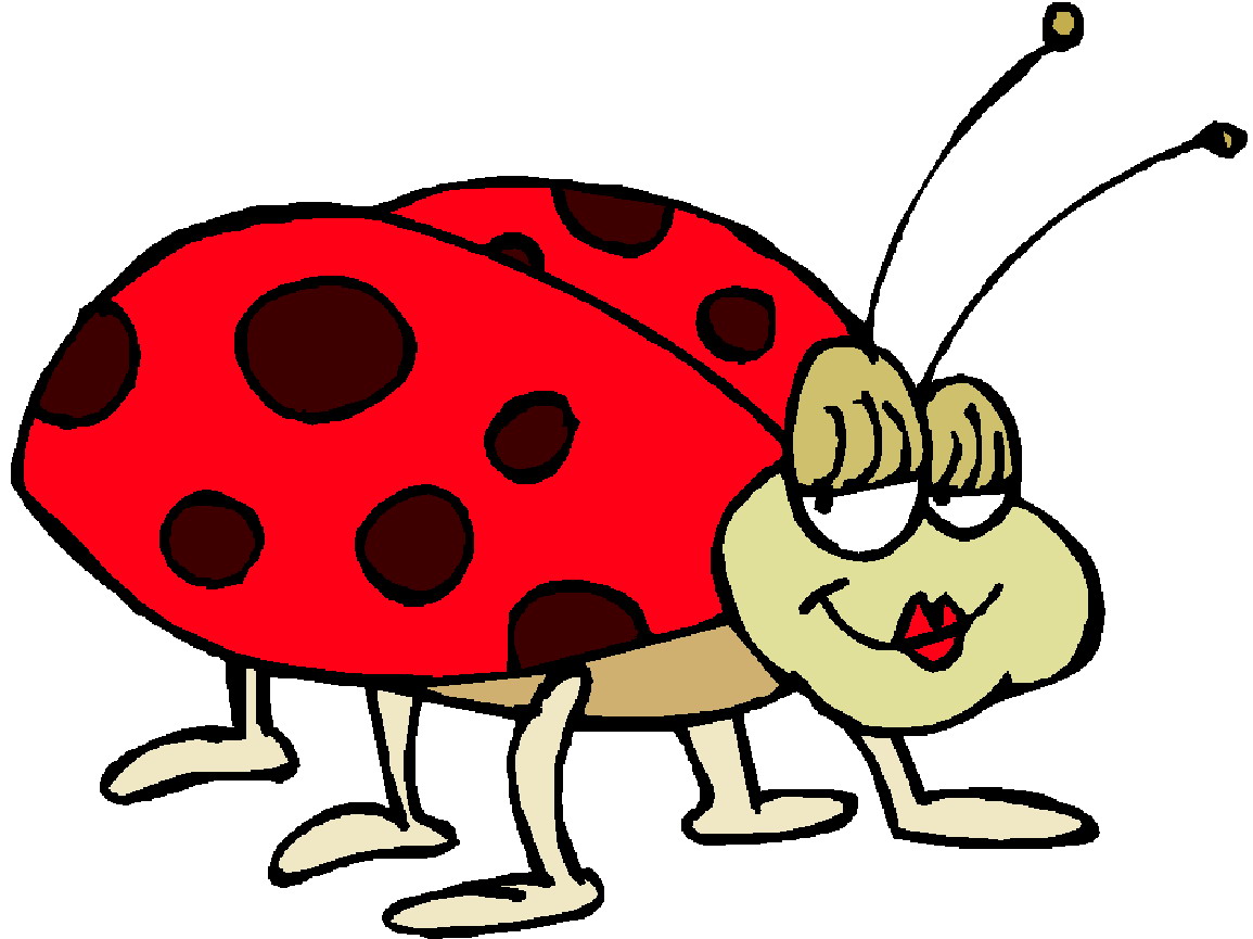 Ladybug Graphics and Animated Gifs