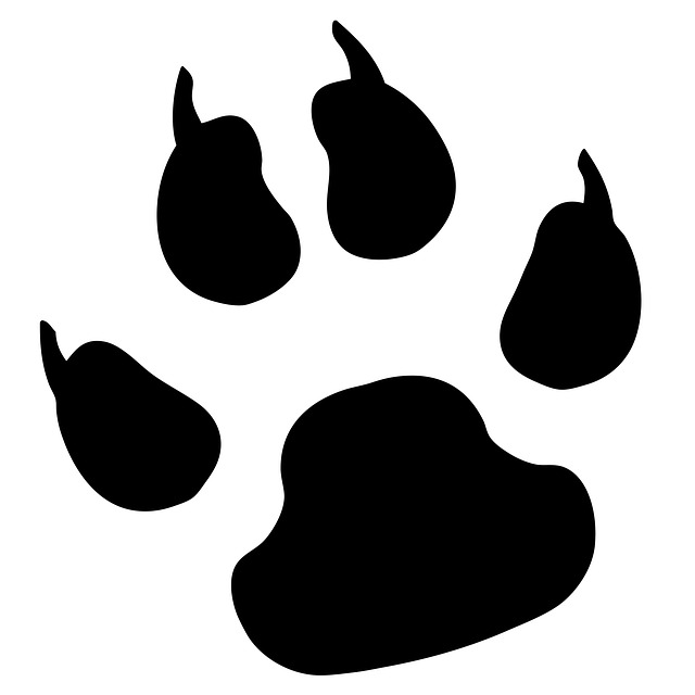 Related Pictures Bobcat Paw Print Clip Art Car Pictures