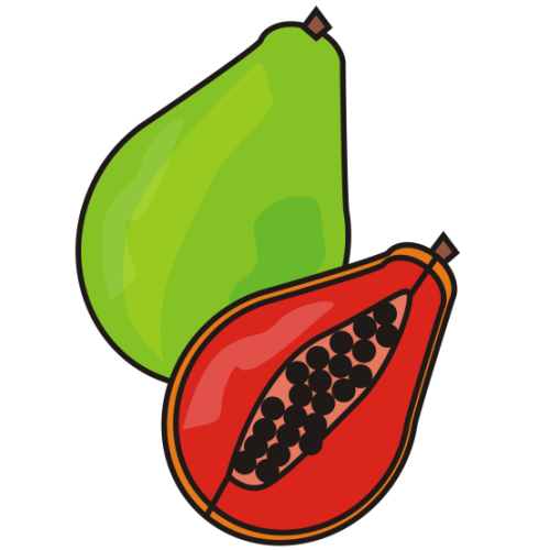 Papaya Tree Clipart | Clipart Panda - Free Clipart Images