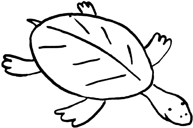 clip art turtle