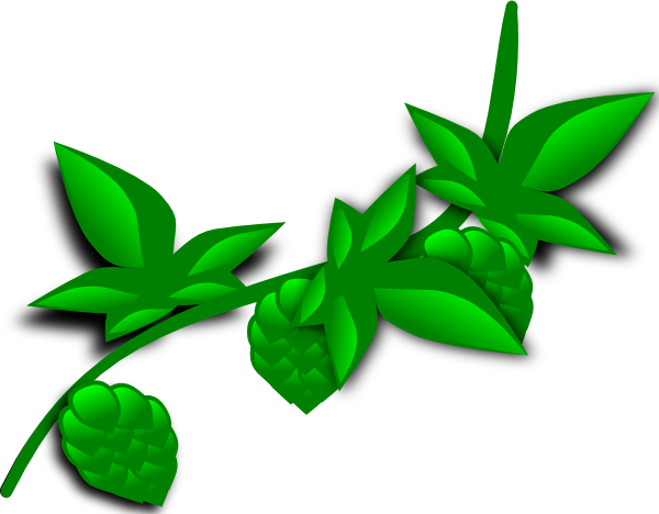 Hops Plant clip art - vector clip art online, royalty free ...