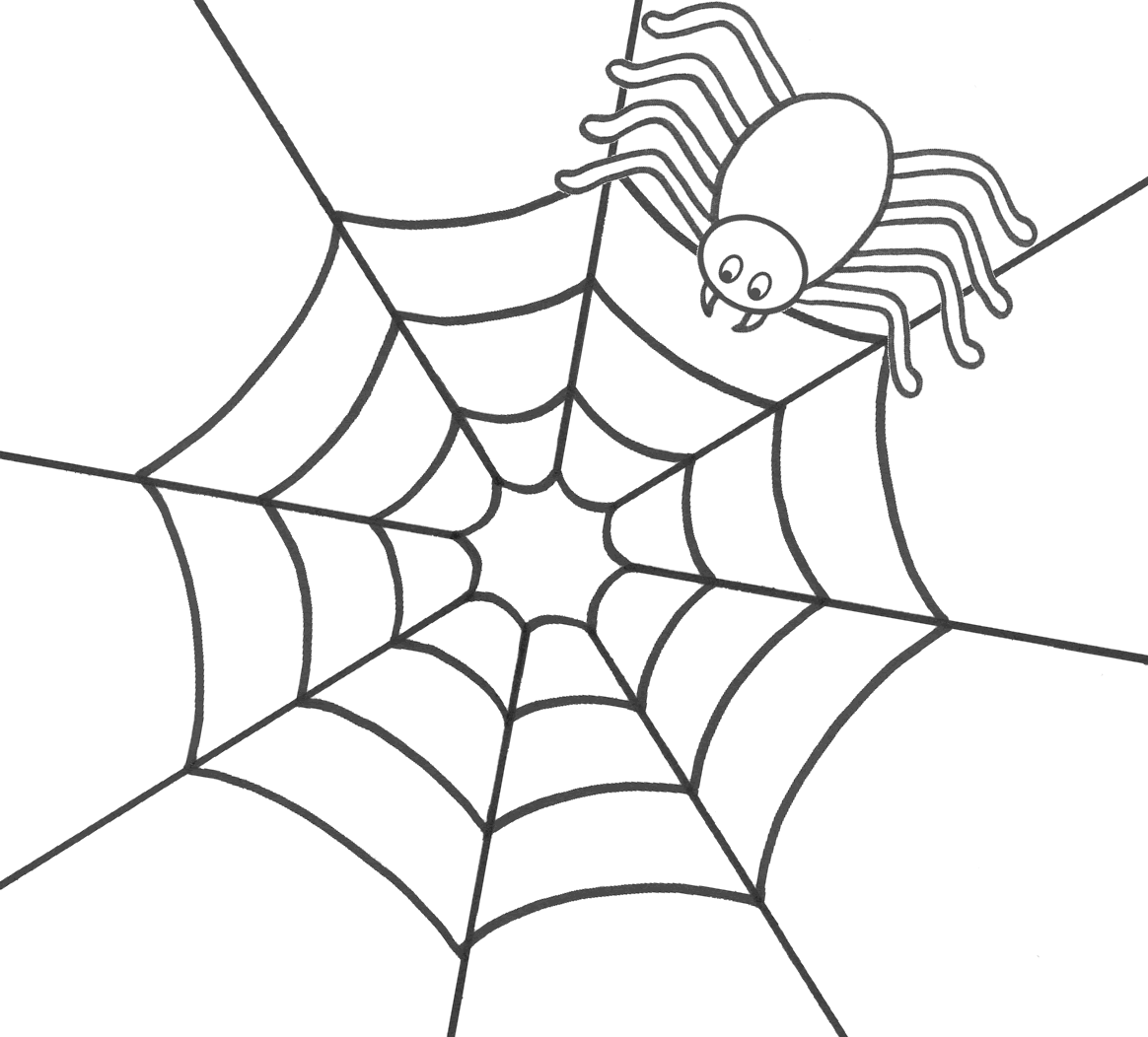 print the coloring animals arachnids spider number id 63192 ...