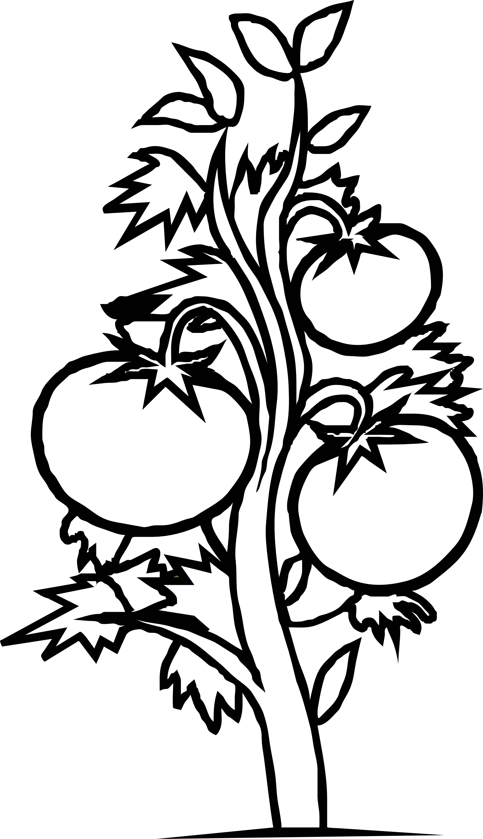 tomato plant black white | Clipart Panda - Free Clipart Images