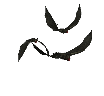 Vampire Bats Animated Flying Graphic and Picture | Imagesize: 59 ...