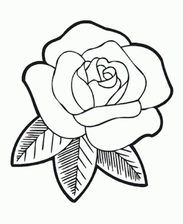 Flower Free Coloring Pages 248026 Cartoon Flower Coloring Pages