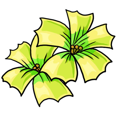isimez: hibiscus flower clip art free