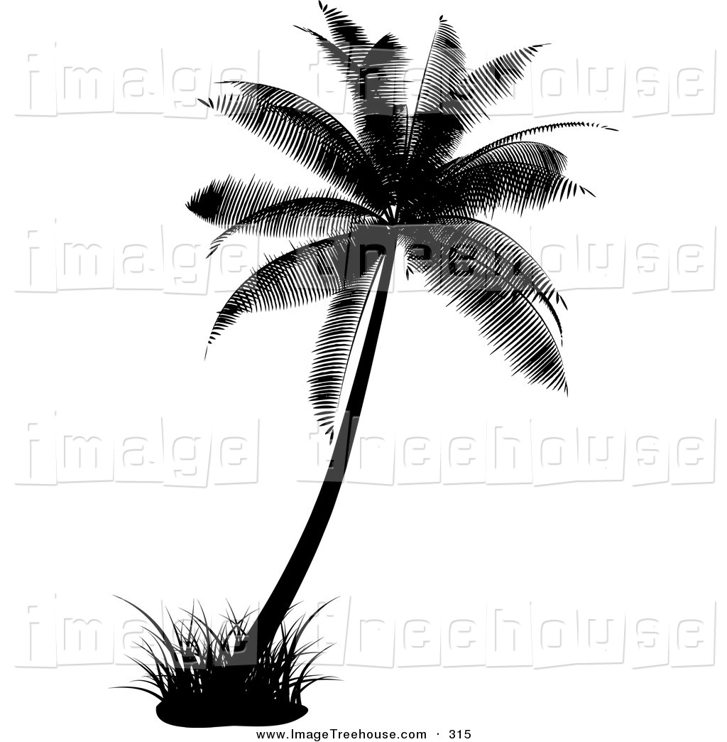 Free Palm Tree Clipart Black And White | School Clipart