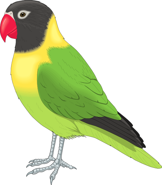 Free to Use & Public Domain Birds Clip Art - Page 16