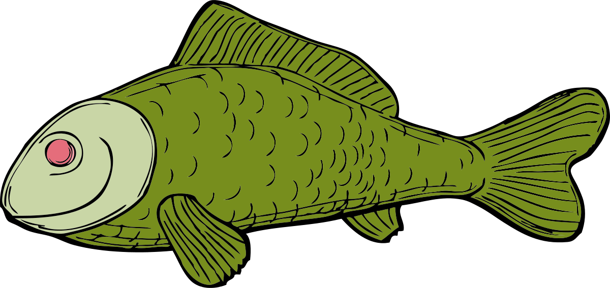 Green Fish Clipart by johnny_automatic : Animal Cliparts #1238 ...