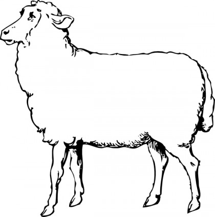 White Sheep Clipart | Clipart Panda - Free Clipart Images