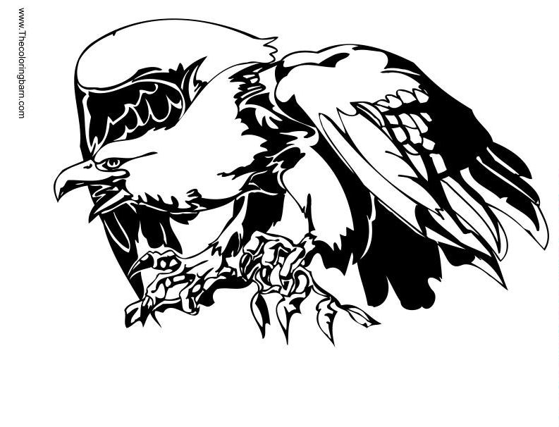 eagle feather coloring pages - photo #18
