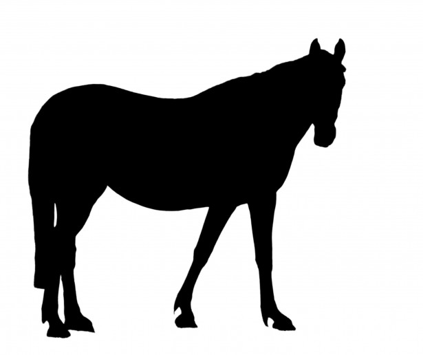 Black Horse Silhouette Clipart Free Stock Photo - Public Domain ...