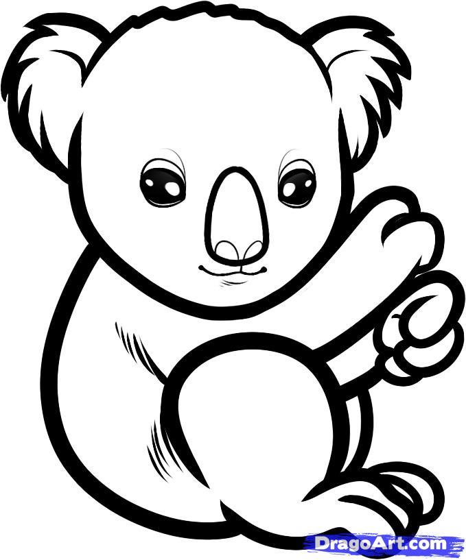 How to Draw a Baby Koala, Baby Koala, Step by Step, Rainforest ...