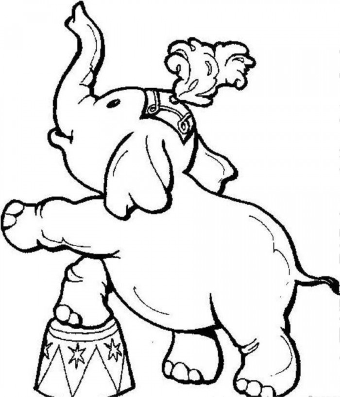 Circus Animal Coloring Pages | 99coloring.com