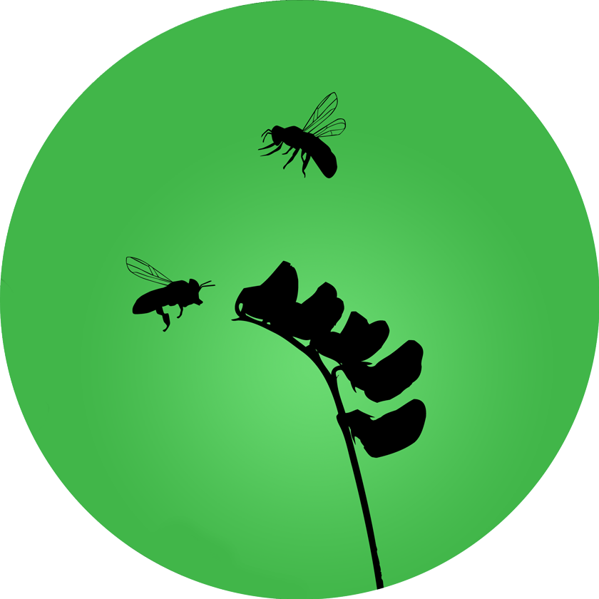 Green Bee Maryland