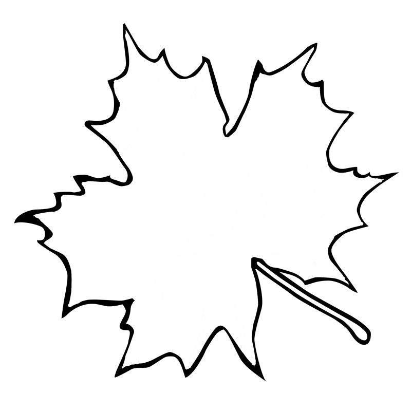 Leaf Outline Template