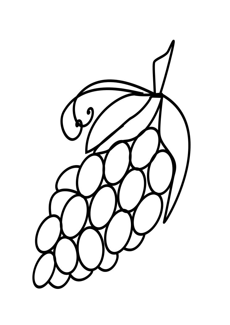 Fruits Drawings: Grapes Coloring Page