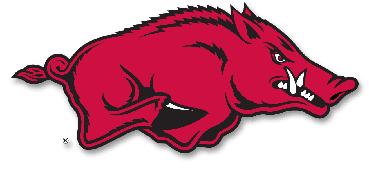 Candid Confessions of a Southern Princess: Razorbacks ...