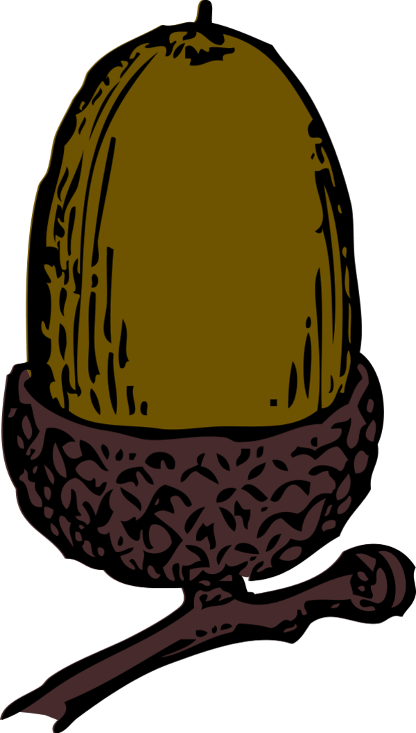 acorn clip art - vector Clip Art
