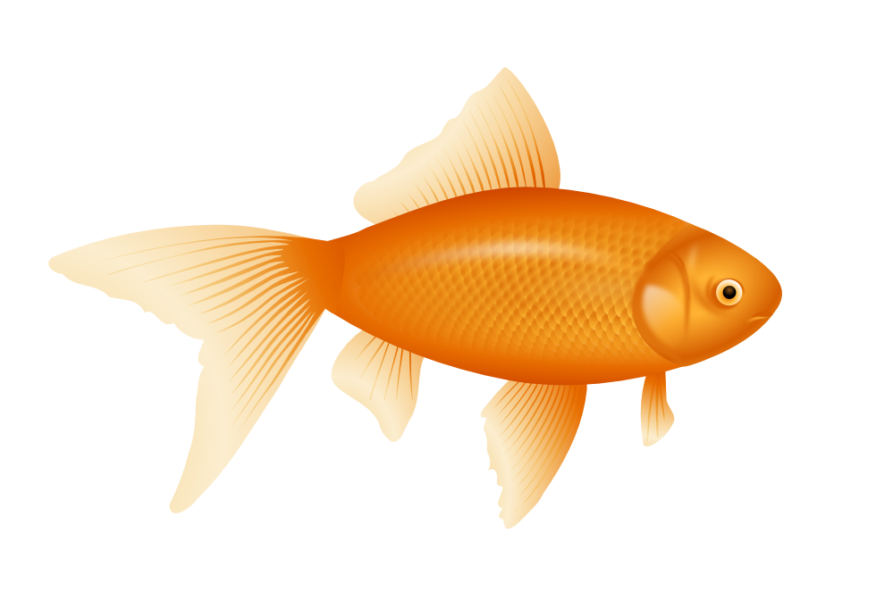 clipartist.net » Clip Art » Gold Fish Goldfish SVG