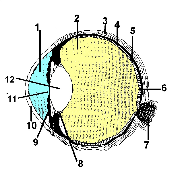 Eye Diagram Quiz