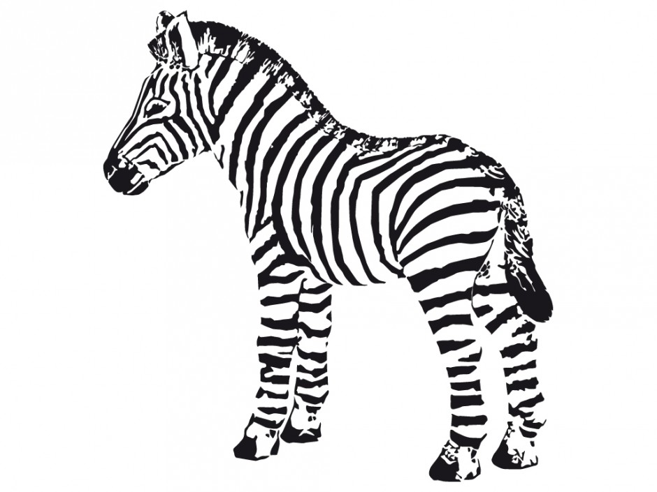 Cute Zebra Coloring Page 2264 Free 141662 Coloring Pages Of Zebras