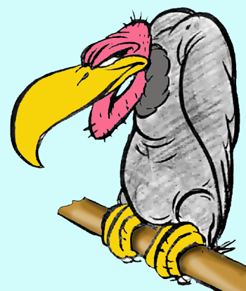 Vulture Cartoon | lol-