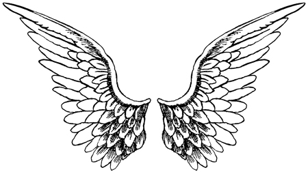 Project Angel Wings