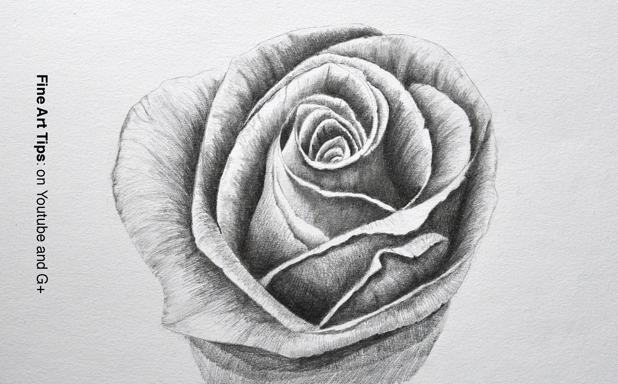 Drawing Flowers: How to Draw a Rose With Pencil - Fine Art-Tips ...