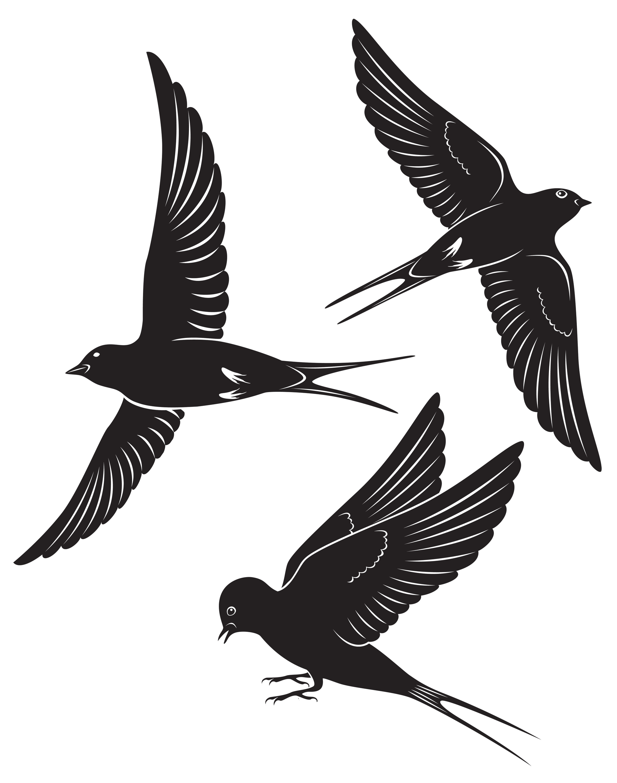 bird-silhouette-tattoo-for- ...