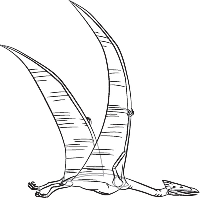 How to Draw Quetzalcoatlus - HowStuffWorks