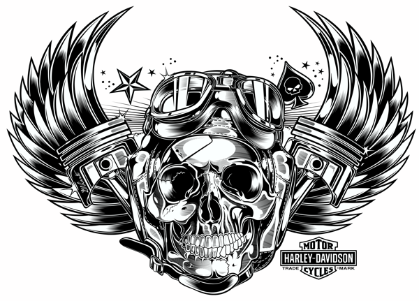 Skull & Pistons - Harley Davidson - US
