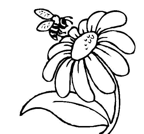 Bee And Flower Drawing | Clipart Panda - Free Clipart Images