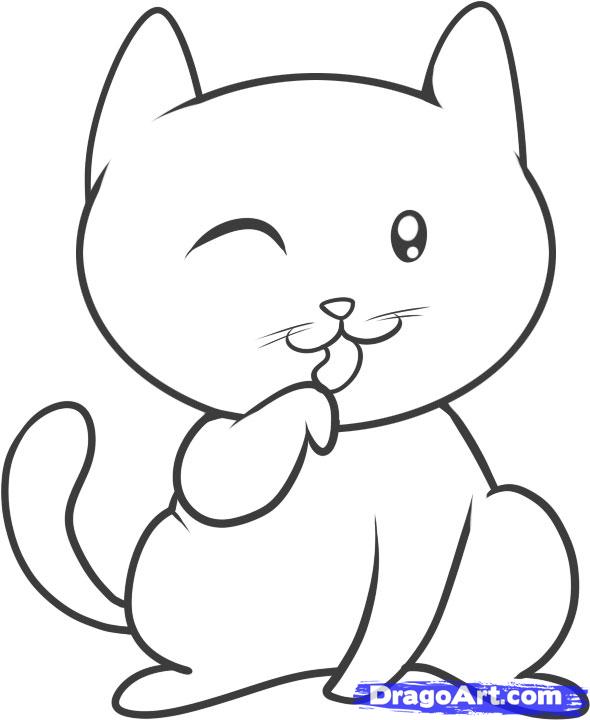 Cat Drawing - Gallery