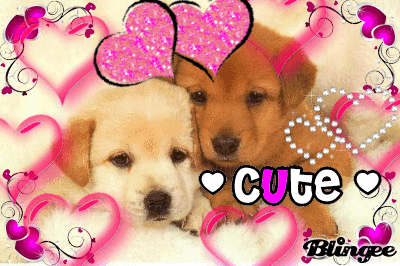 Cute Puppies :) Animated Picture Codes and Downloads #103972712 ...