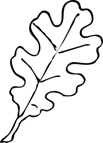 fall leaf template | Oak Leaf Outline clip art - vector clip art ...