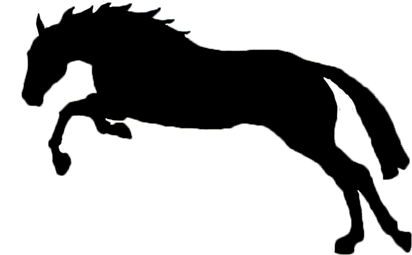 Jumping Horse Silhouette - Cliparts.co