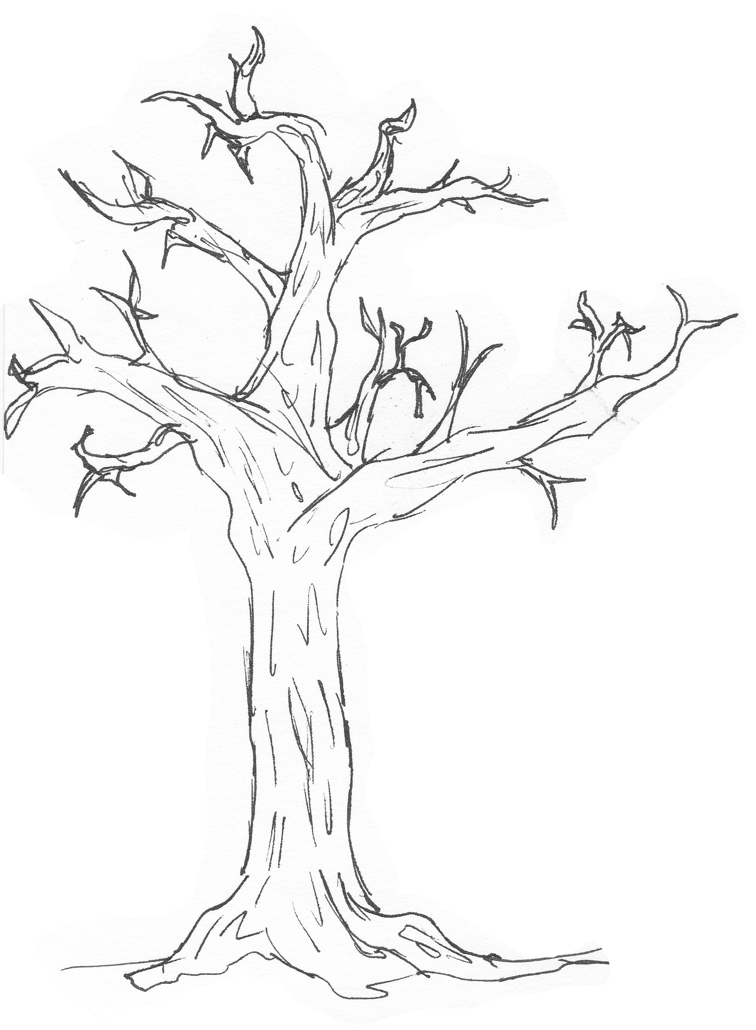 simple tree drawing