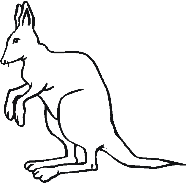 kangaroos Colouring Pages (page 2)