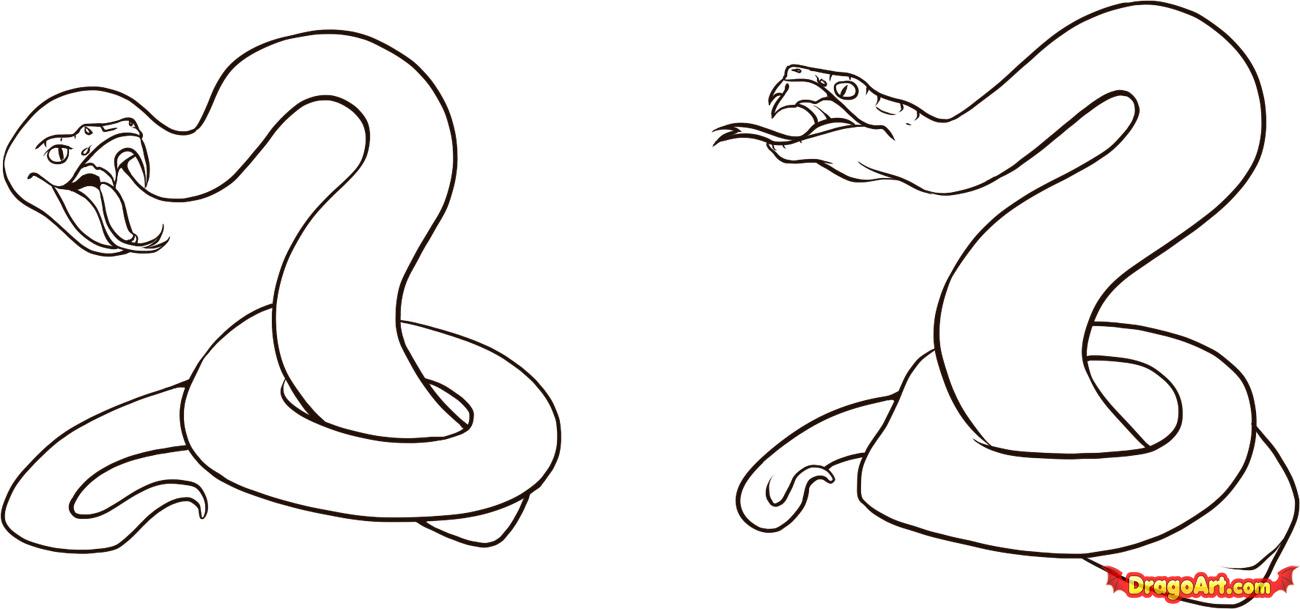 How to Draw a Viper, Step by Step, Snakes, Animals, FREE Online ...