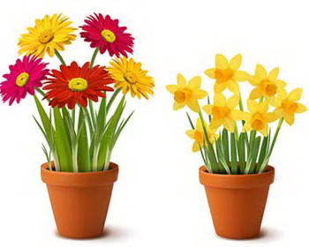 Bright Flowers in Pots Vector - eps ai vector