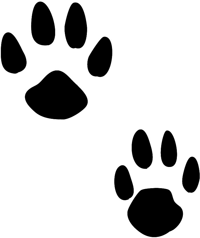 tiger paw print clip art - photo #27