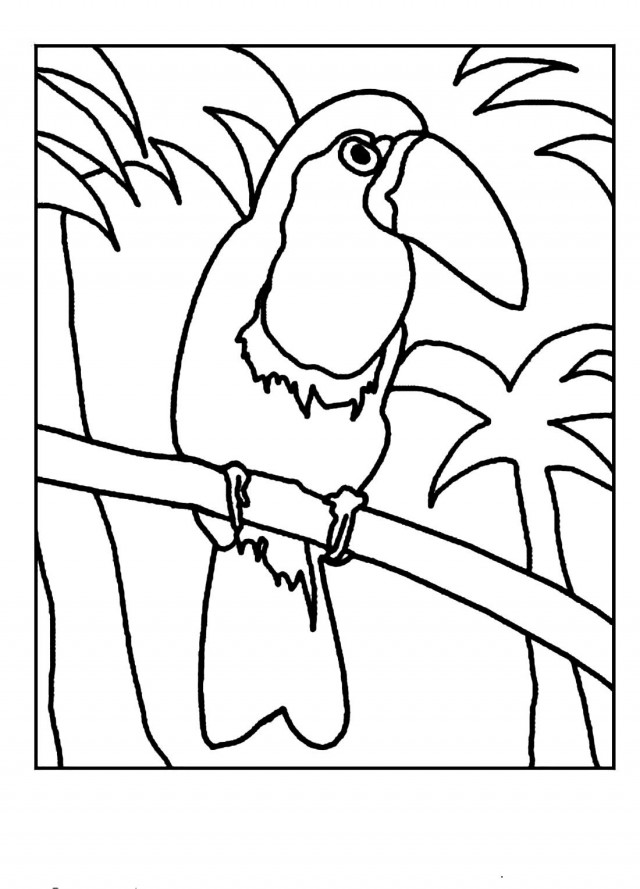 Download Woodpecker A Talkative Bird Coloring Pages Or Print ...