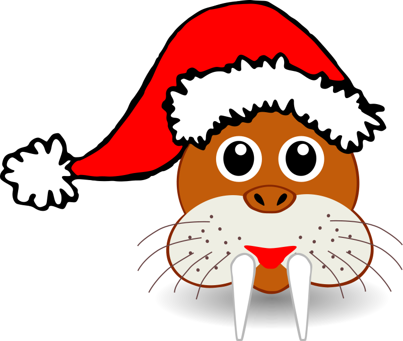 Funny walrus face with Santa Claus hat Free Vector / 4Vector