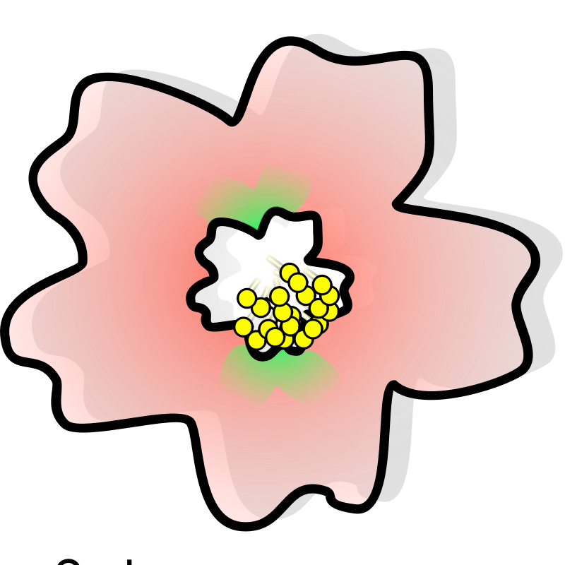 Clipart - sakura dave pena 01