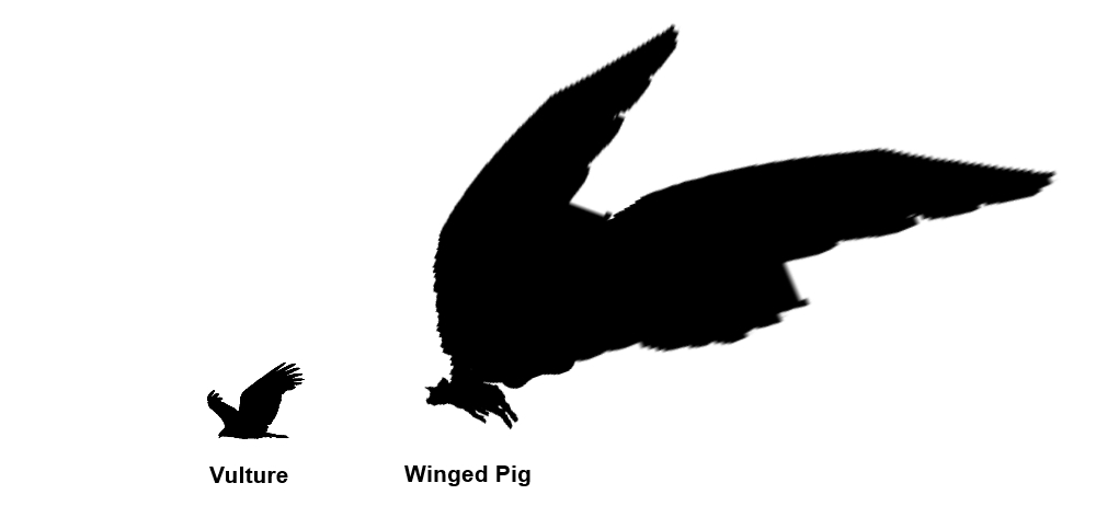 What if pigs could fly? | Ben Polzine – What If?