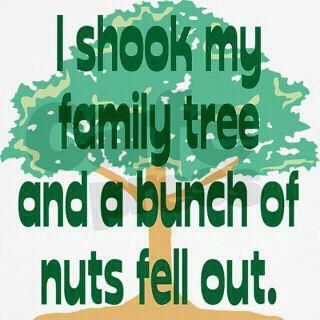 i-shook-my-family-tree.jpg