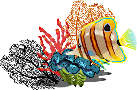 School Of Fish Clip Art Free | Clipart Panda - Free Clipart Images